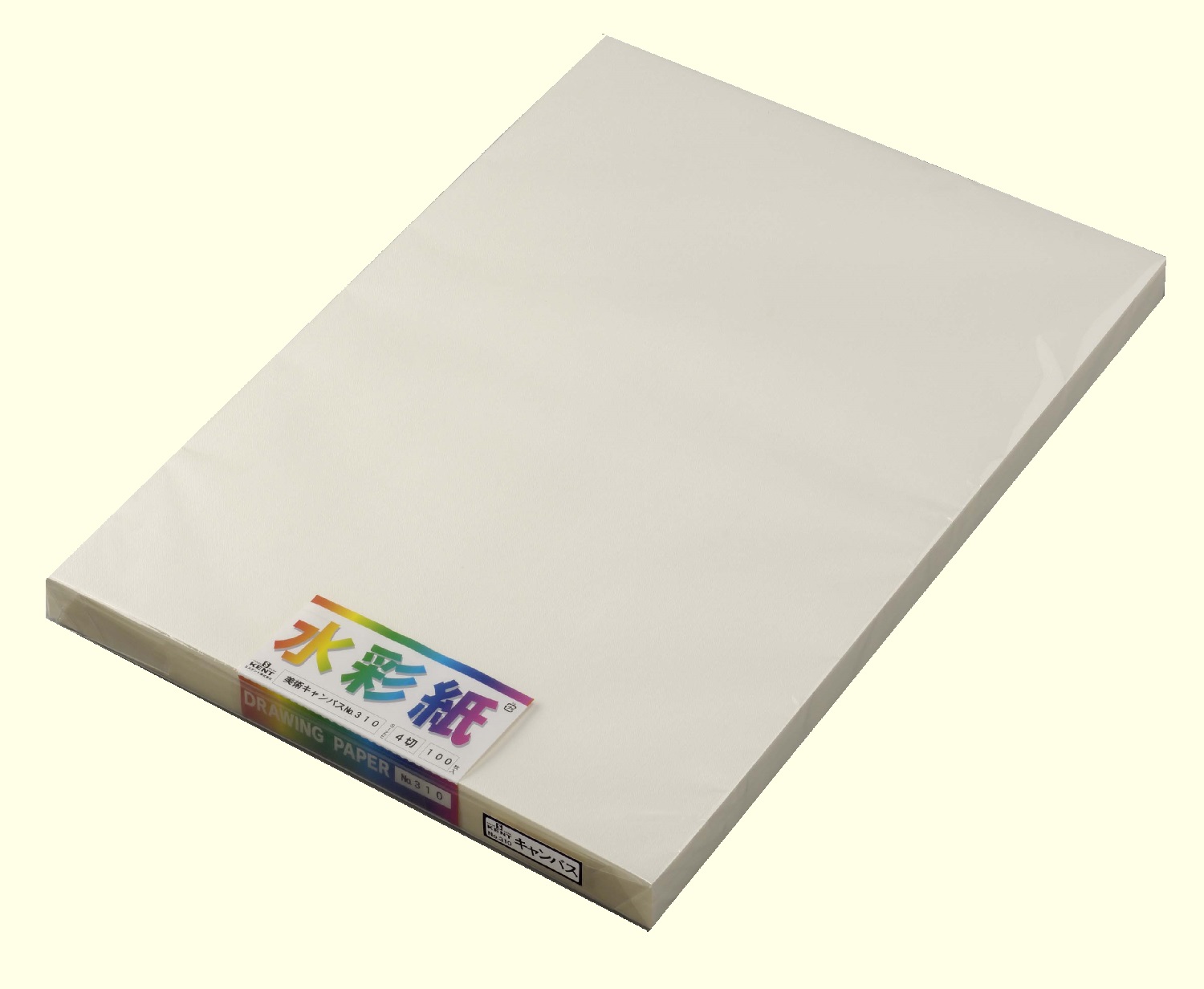 エスケント美術キャンバス　№３１０